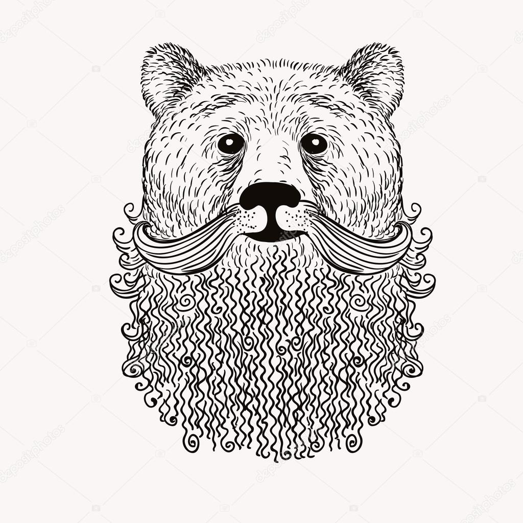 Sketch Bear with beard