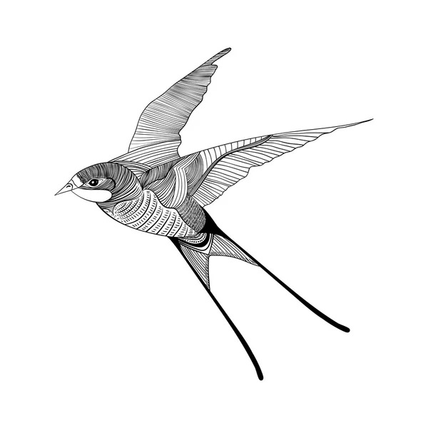 Zentangle stylized swallow — Stock Vector