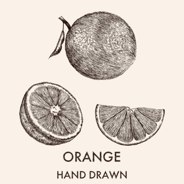 Tüm turuncu, yarısı ve segment kroki.