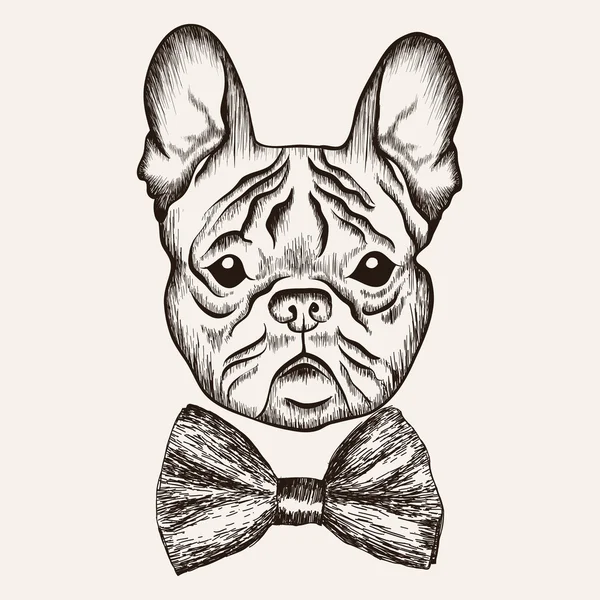 Sketch French Bulldog with bow tie. — Stock Vector