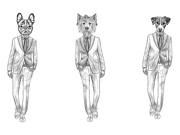 Лица собак в костюмах — стоковый вектор