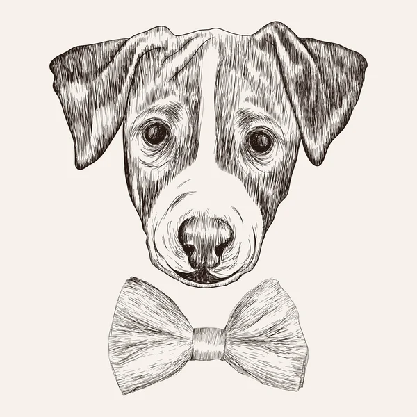 Dibujo Jack Russell Terrier perro — Vector de stock