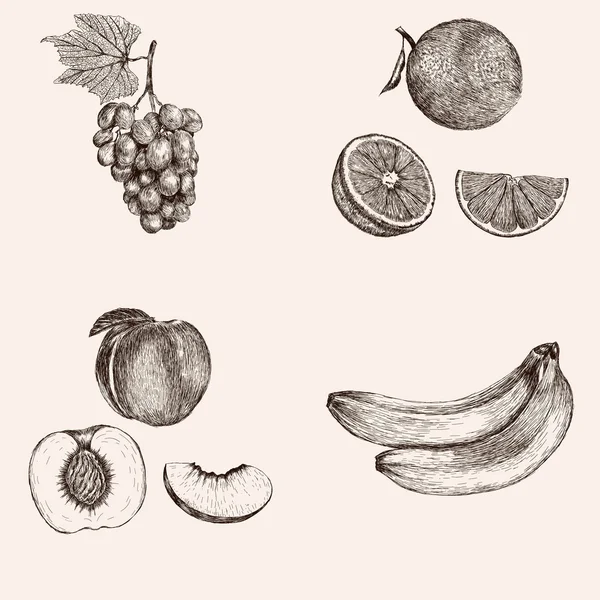 Raccolta di frutta disegnata a mano . — Vettoriale Stock