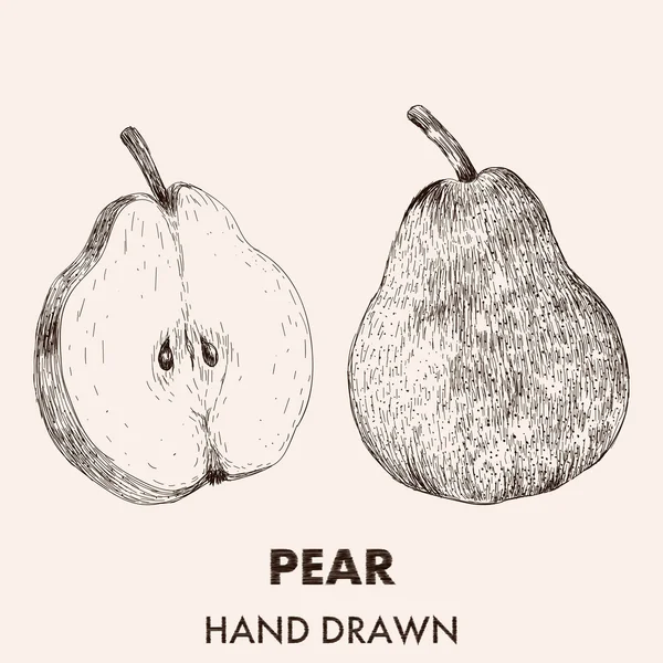 Dibujo ilustración de pera . — Archivo Imágenes Vectoriales