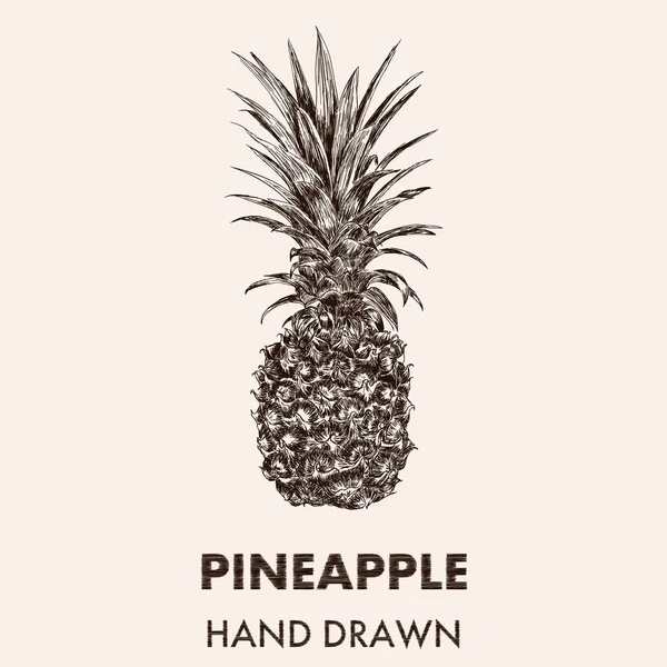 Dibujo ilustración piña . — Vector de stock