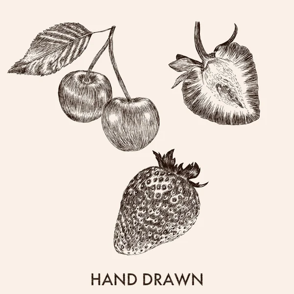 Kroki çilek ve vişne.