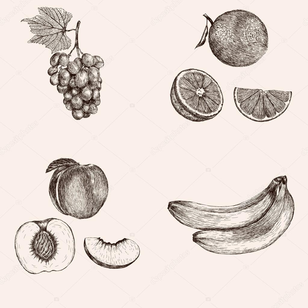 Hand drawn fruit collection.