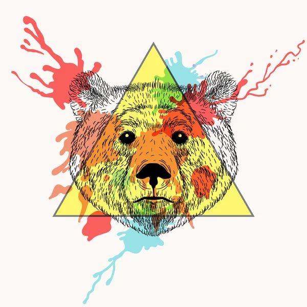 Testa di orso in cornice a triangolo con goccia di inchiostro ad acquerello. Disegnato a mano — Vettoriale Stock