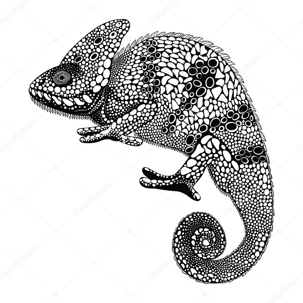Zentangle stylized Chameleon. Hand Drawn Reptile vector illustra