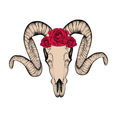 Hand Drawn  goat skull with red roses doodle vector illustration