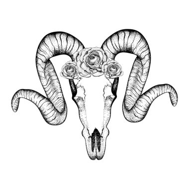 Hand Drawn  goat skull with roses doodle vector illustration. Do