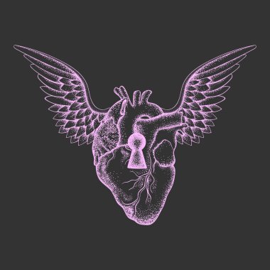 Kanatları ve anahtar deliği ile el çizilmiş zarif anatomik insan kalbi, 