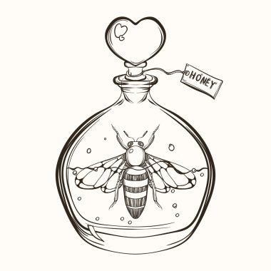 Hand drawn engraving Sketch of  Bee in the bottle with honey. Ve