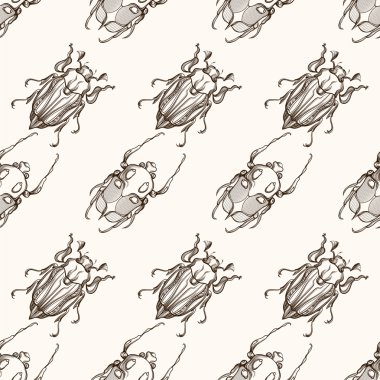 Hand drawn engraving Sketch of Scarab Beetle, May bug or Europea