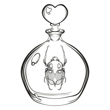 Hand drawn engraving Sketch of Scarab Beetle. Bug in the glass b