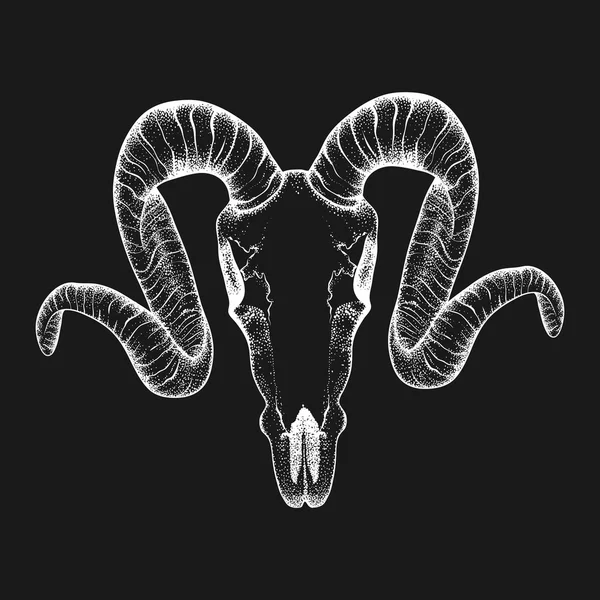 Hand Drawn  goat skull doodle vector illustration. Dotwork fullf — Stock Vector