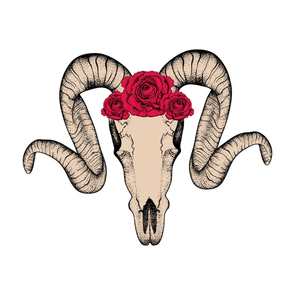 Cráneo de cabra dibujado a mano con rosas rojas doodle vector ilustración — Archivo Imágenes Vectoriales