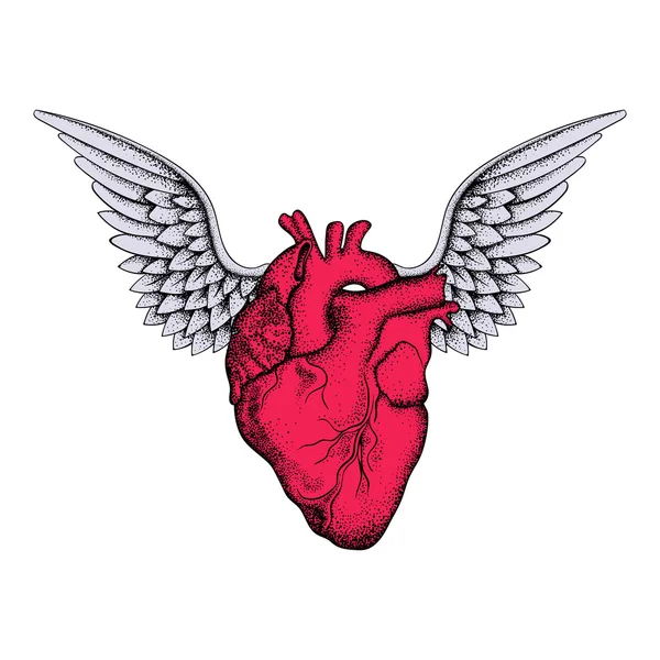 Hand drawn elegant red heart with wings, sketch for tattoos desi
