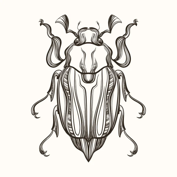 Gravura desenhada à mão Sketch of Beetle, May bug. Vector illustra — Vetor de Stock