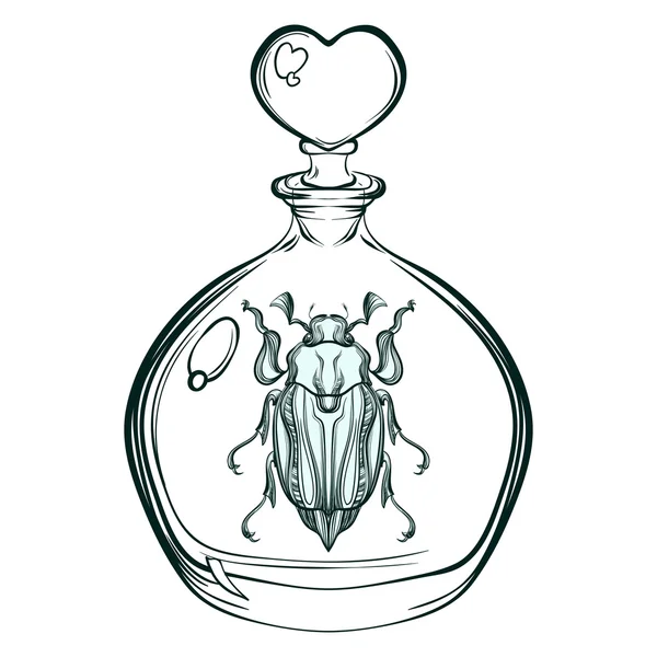 Hand drawn engraving Sketch of May bug. Beetle in the glass bott — Stock vektor