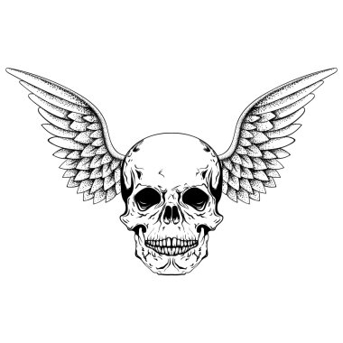 Hand drawn sketch skull with wings, tattoos line art. Vintage ve
