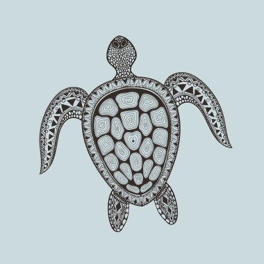 Zentangle kaplumbağa stilize. El çekilmiş su doodle vektör Hüseyin