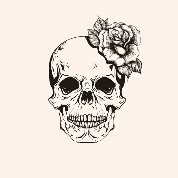 Dibujo dibujado a mano scull con rosa línea de tatuaje arte. Vecto vintage — Archivo Imágenes Vectoriales