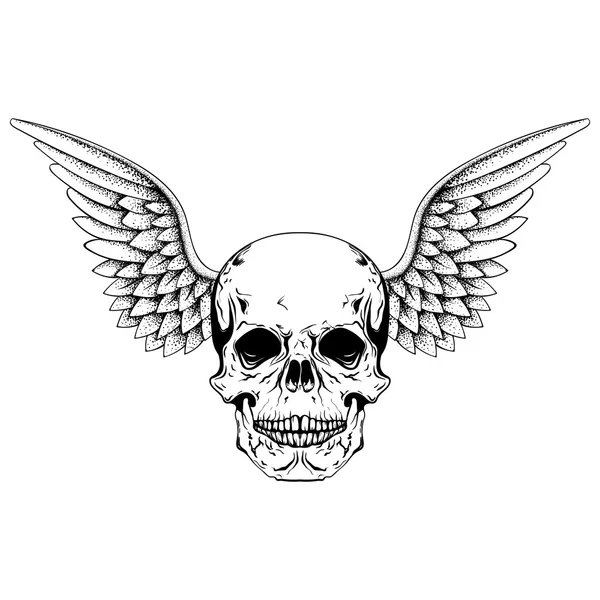 Hand drawn sketch skull with wings, tattoos line art. Vintage ve