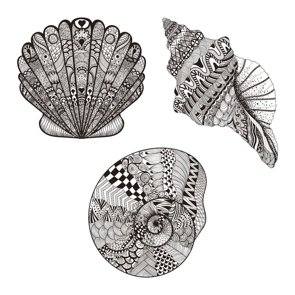 Conjunto estilizado Zentangle conchas marinas. Ilustración vectorial dibujada a mano — Archivo Imágenes Vectoriales