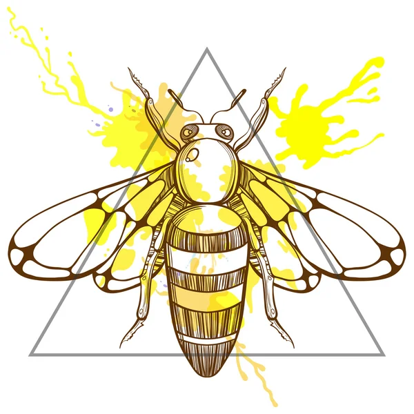 Zentangle стилизованная пчела в треугольной рамке с барабаном акварельных чернил — стоковый вектор