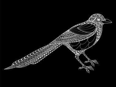 Hand drawn Magpie illustration for antistress Coloring Page with
