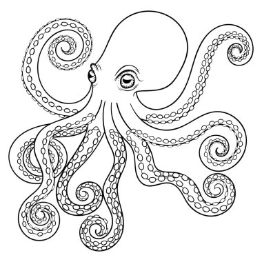 Hand drawn tribal Octopus, animal totem for adult Coloring Page