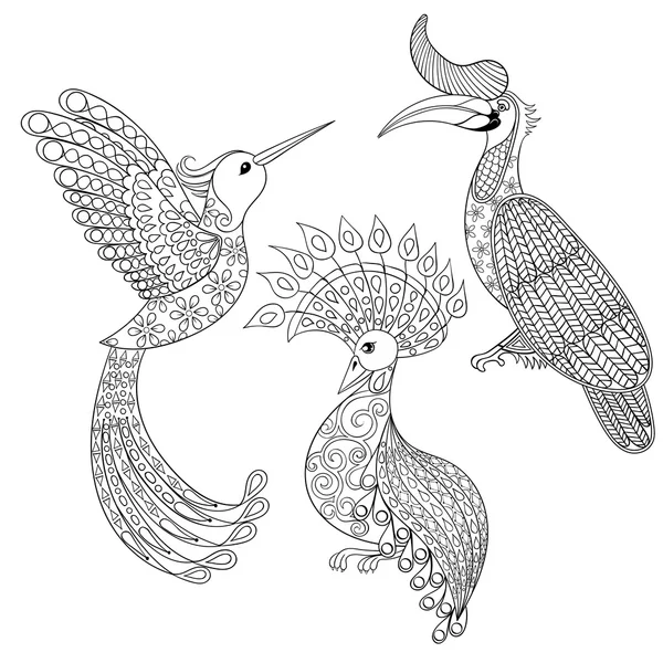 Coloring page with Bird Rhinoceros, Hummingbird and exotic bird, — Stock Vector