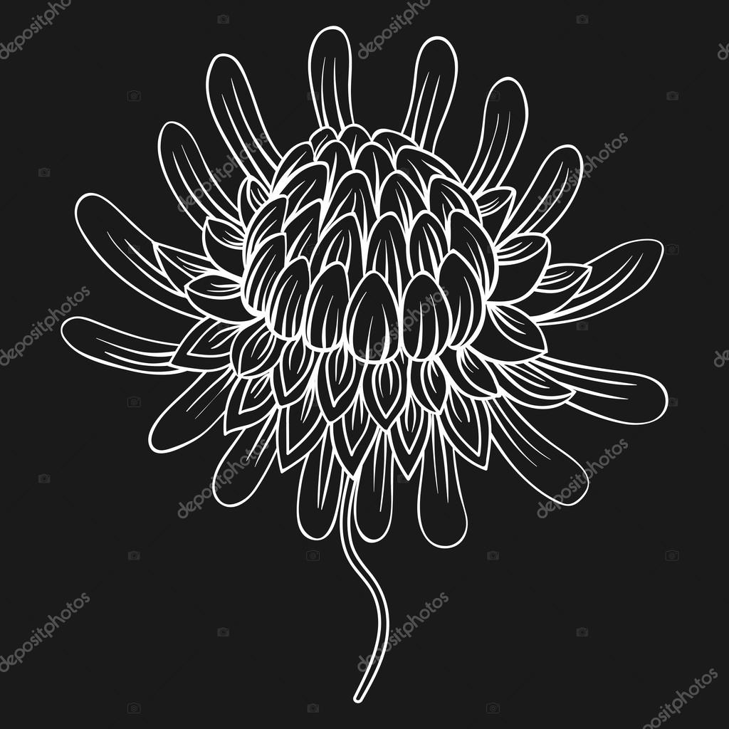 Download Coloring page with Etlingera flowers, Torch Ginger ...
