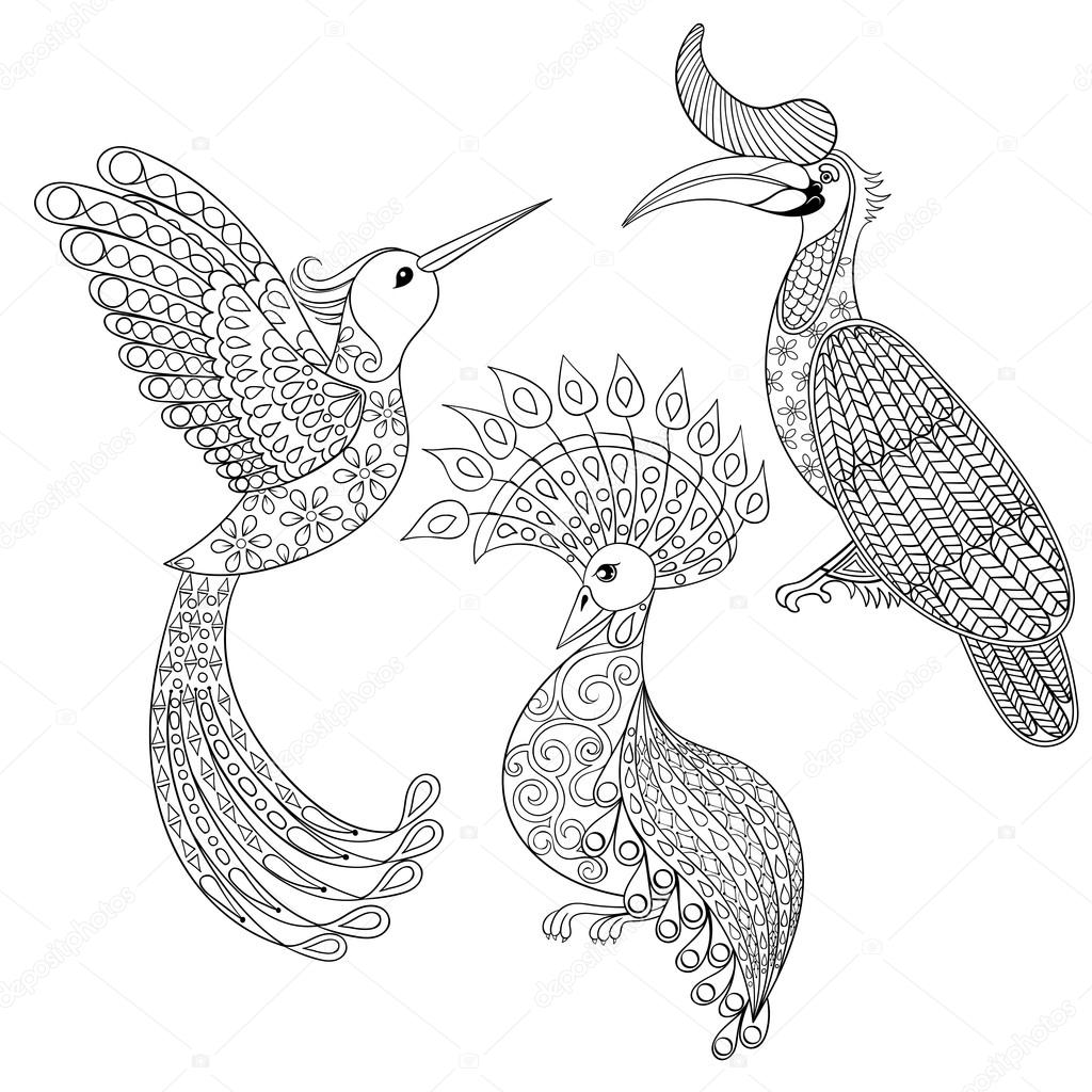 Coloring page with Bird Rhinoceros, Hummingbird and exotic bird,