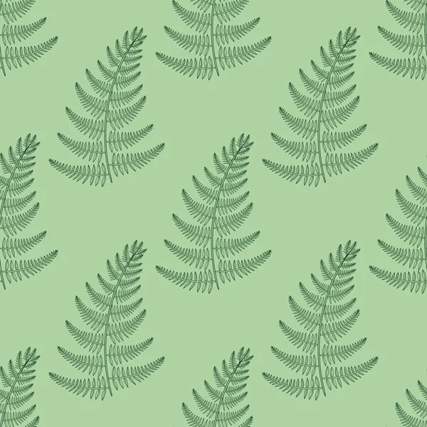 Zentangle vector Fern seamless pattern. Ornamental tribal Grass — Stock vektor