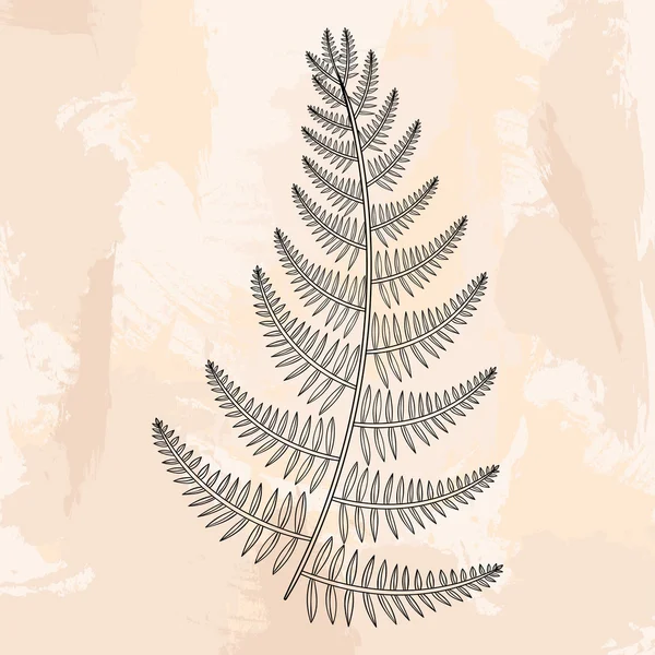 Zentangle vector male Fern for tattoo in boho, hipster style. Or — Wektor stockowy