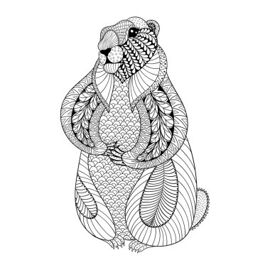Hand drawn Groundhog for adult coloring pages in doodle, zentang
