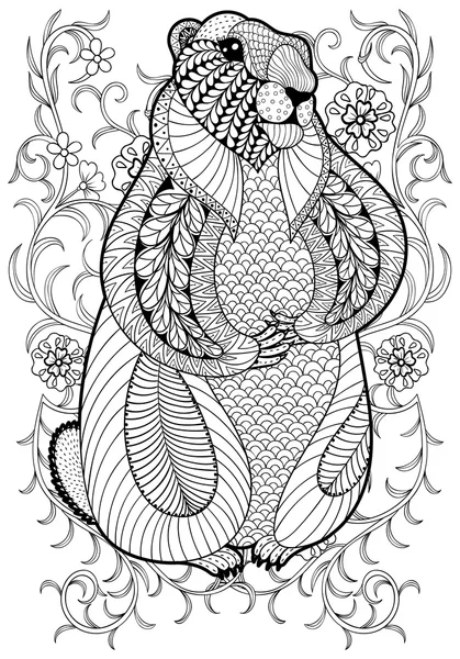 Hand drawn artistic Marmot, Groundhog in flowers for adult color