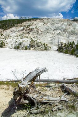 Yellowstone 'un jeotermal alanları birkaç gayzer havzasını içerir. Batı başparmağı Yellowstone Gölü kıyısında.
