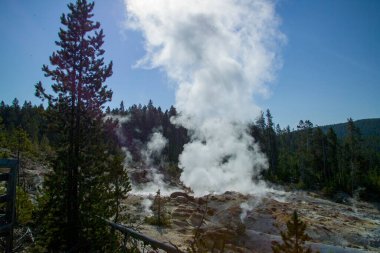 Yellowstone 'un jeotermal alanları birkaç gayzer havzasını içerir. Batı başparmağı Yellowstone Gölü kıyısında.