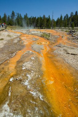 Yellowstone 'un jeotermal alanları birkaç gayzer havzasını içerir. Batı başparmağı Yellowstone Gölü kıyısında.