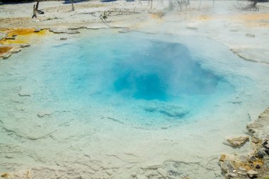 Yellowstone 'un jeotermal alanları birkaç gayzer havzasını içerir. Batı başparmağı Yellowstone Gölü kıyısında.