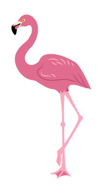 Beyaz arkaplanda izole edilmiş pembe bir flamingonun vektör görüntüsü.