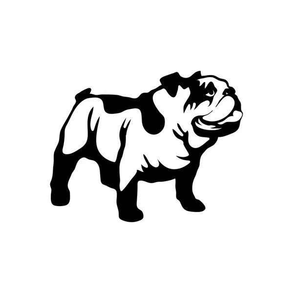 Aranyos bulldog logó — Stock Vector