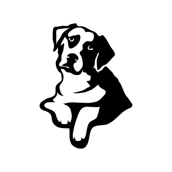 Modelo de logotipo cão — Vetor de Stock