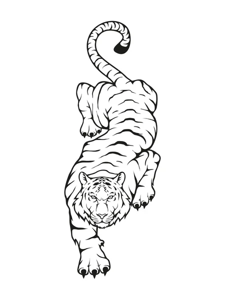 Tijger Logo sjabloon — Stockvector