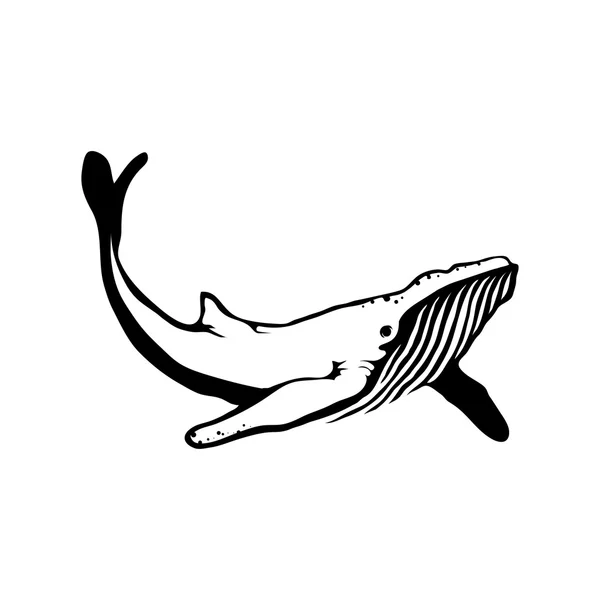 Logo ballena en blanco y negro — Vector de stock