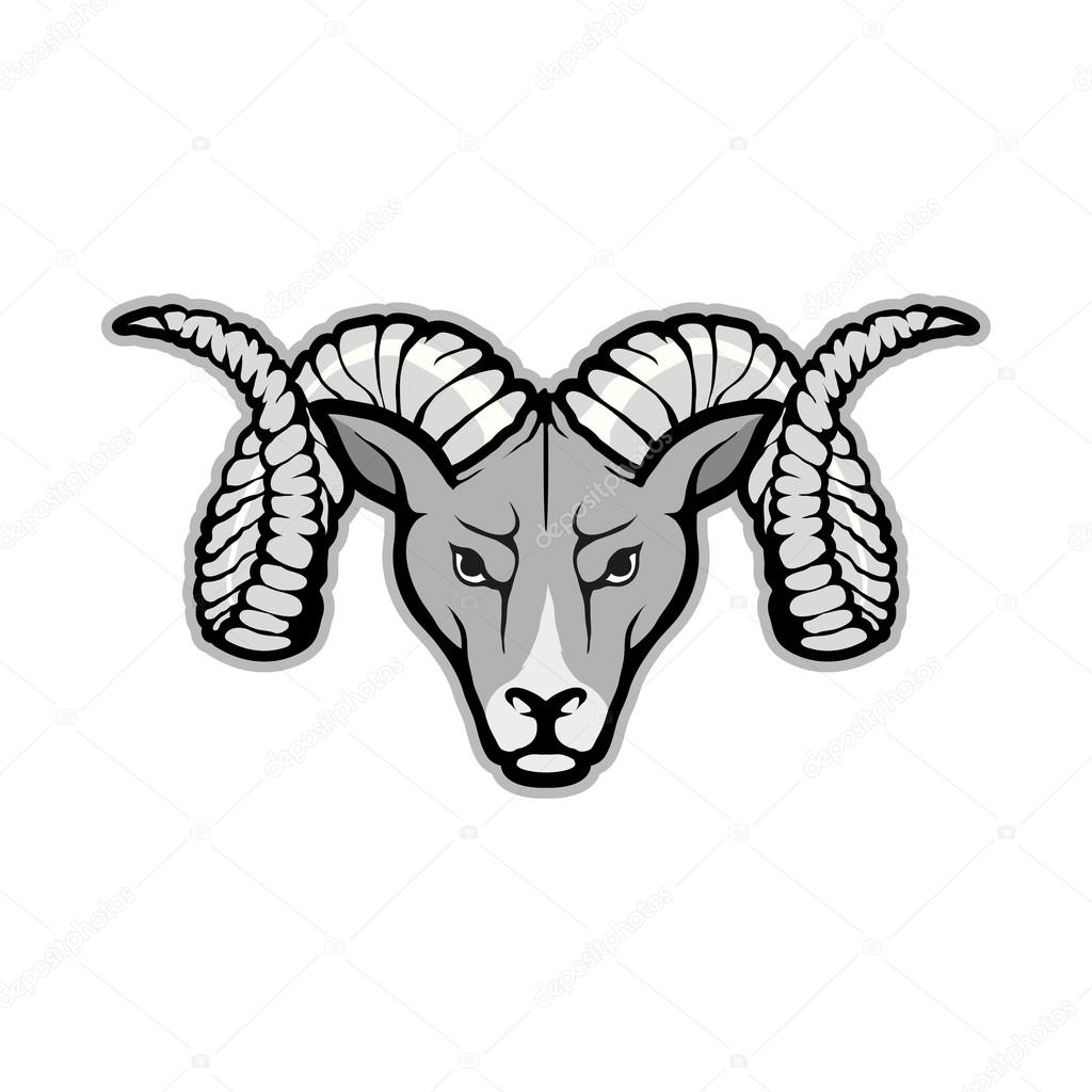 Ram head logo, vector illustration