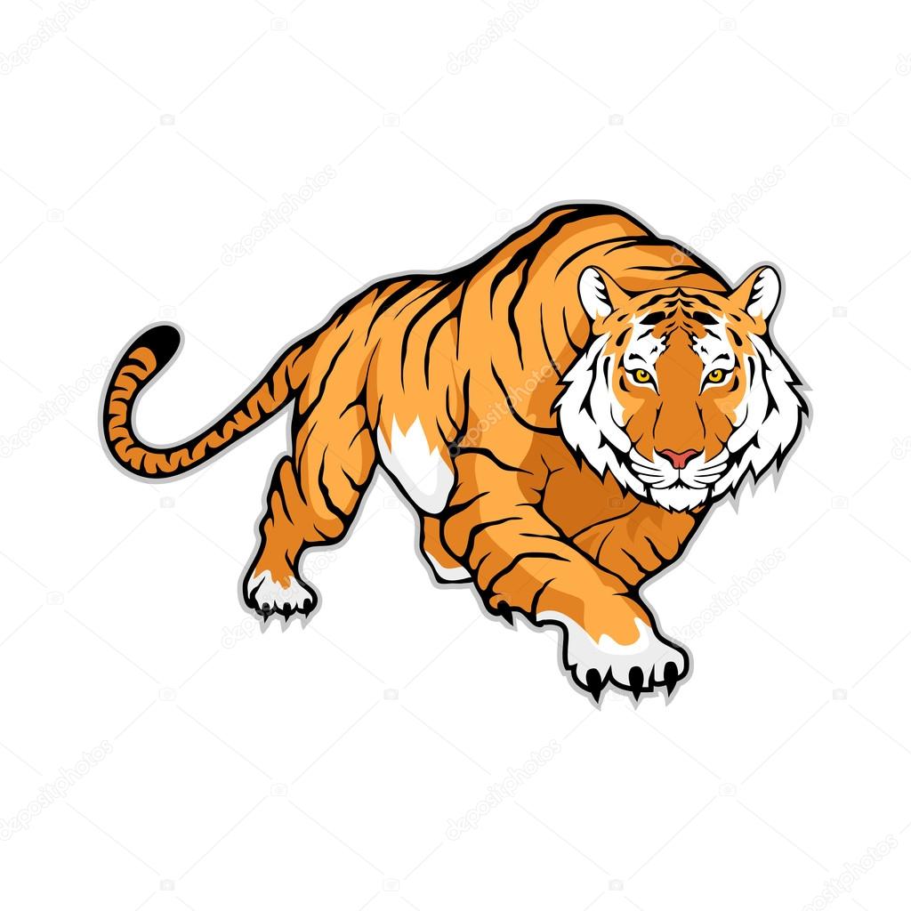 31 Tiger Zeichnung Vorlage Besten Bilder Von Ausmalbilder